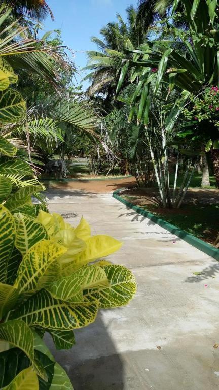 Sri Lanka Beach House Hotel Rathgama Exterior photo